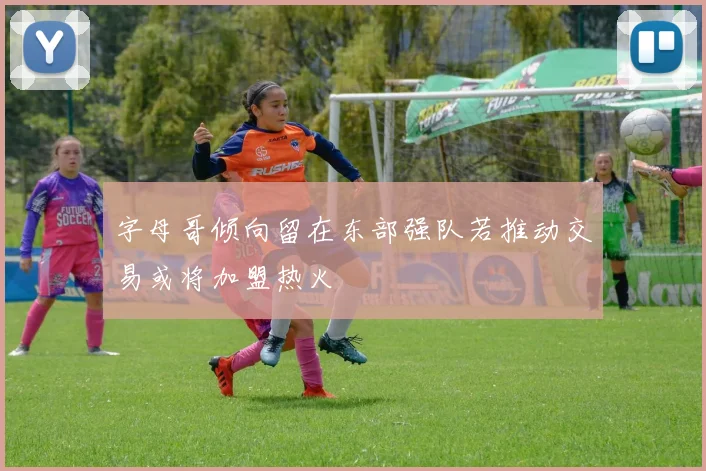 字母哥倾向留在东部强队若推动交易或将加盟热火